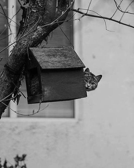 d4d170ec-9333-42f5-a4dd-77eaa01ce08e