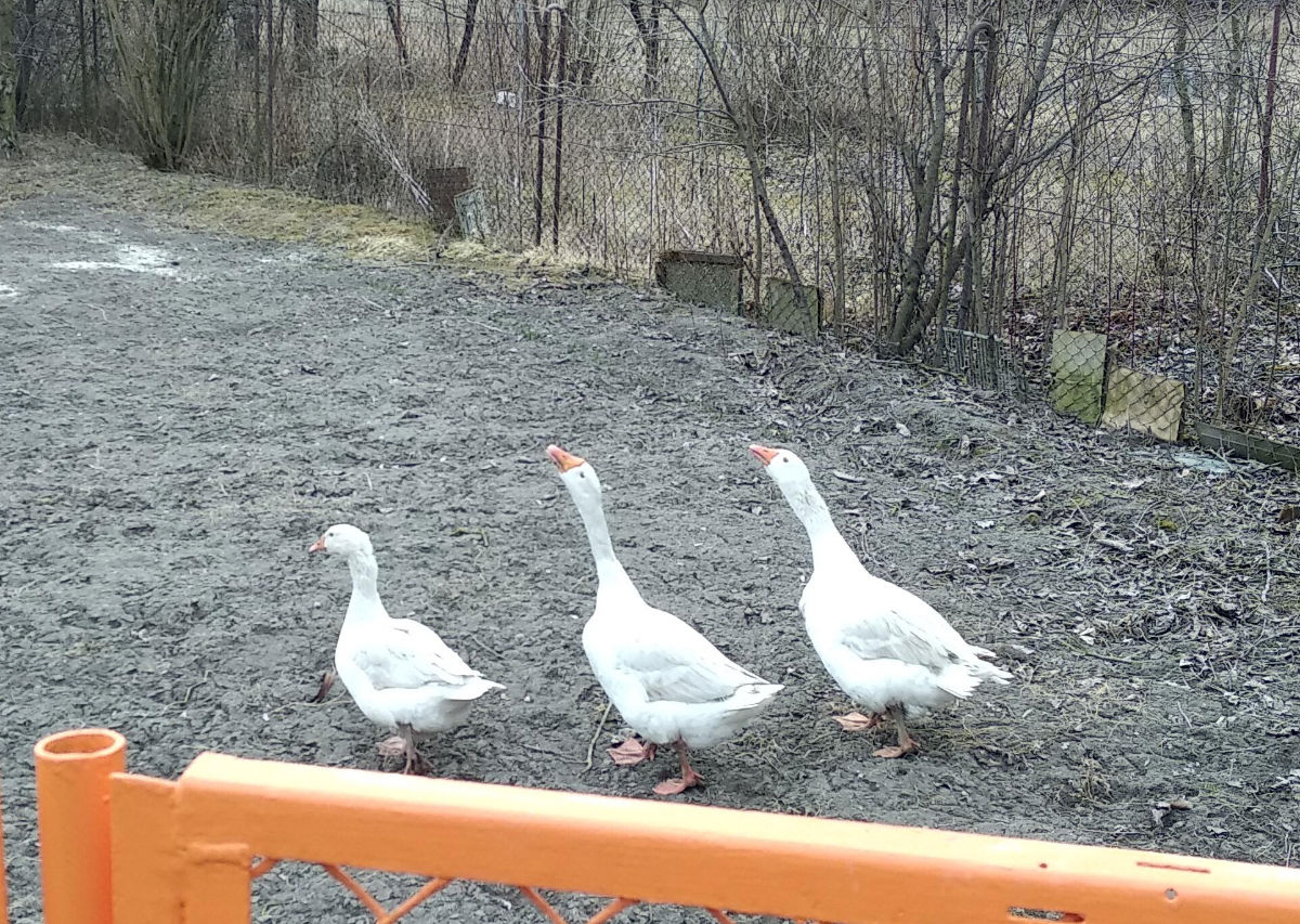 9a6fa335-517c-4ff8-97f4-300c270365d5