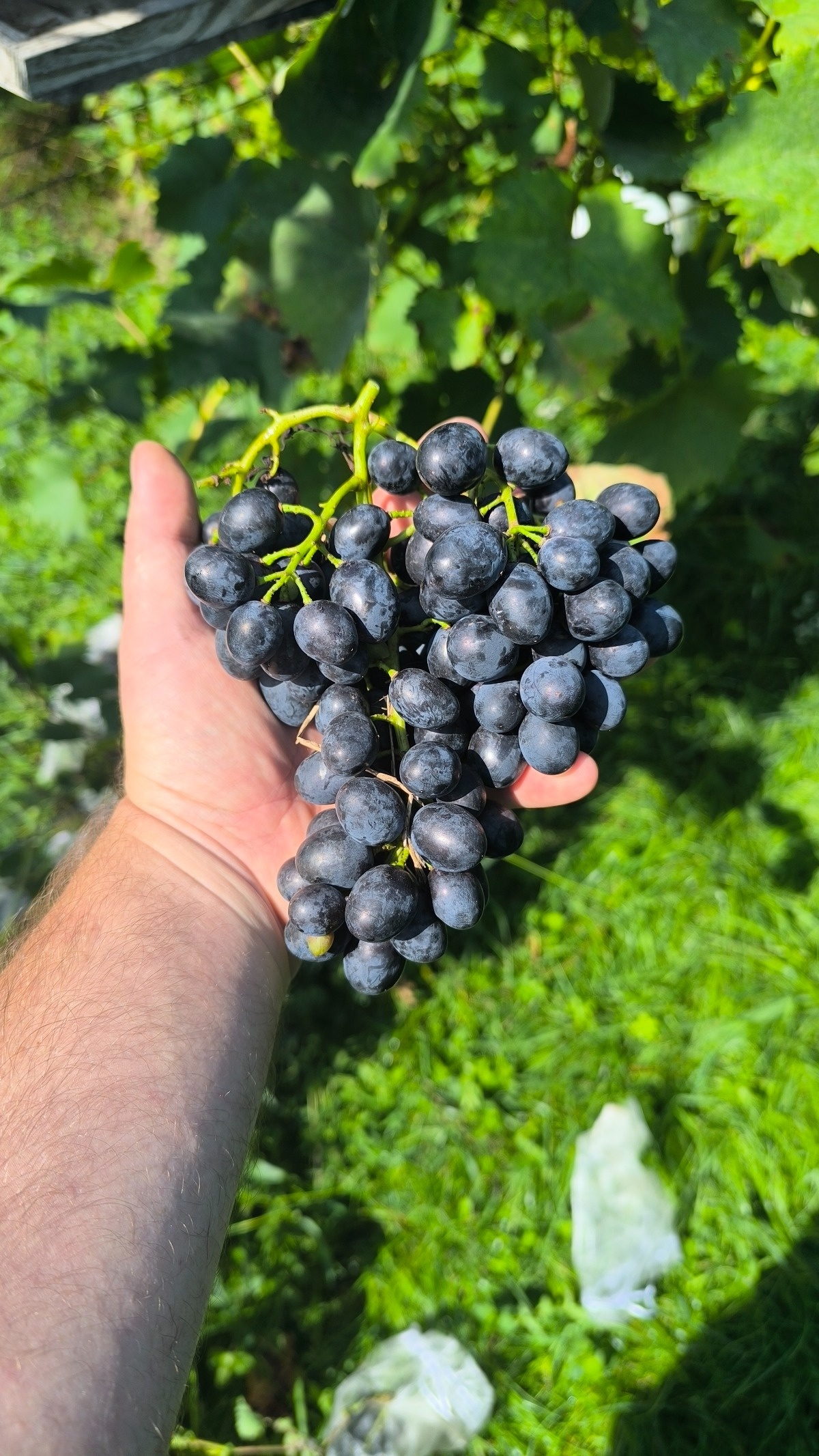 882f48bf-3a4a-45be-b2ce-e156e464f7e5