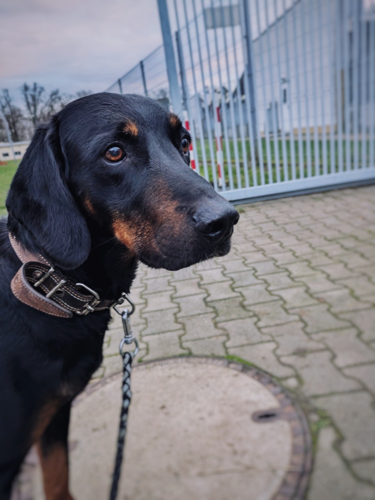 b5f16627-943f-4406-8bb6-1f16754ee7e4