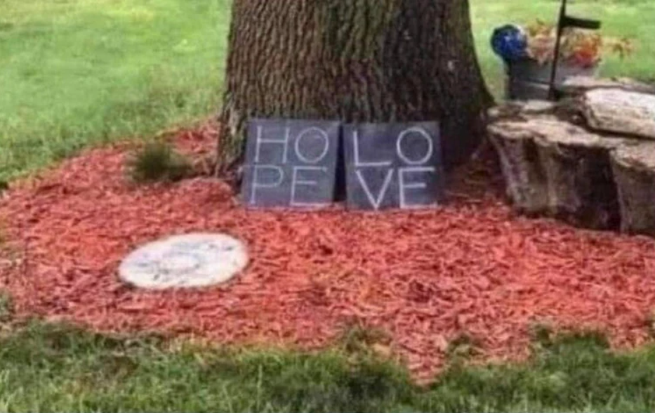 691ca33f-0588-48d2-8eb6-fc8063eb01dc