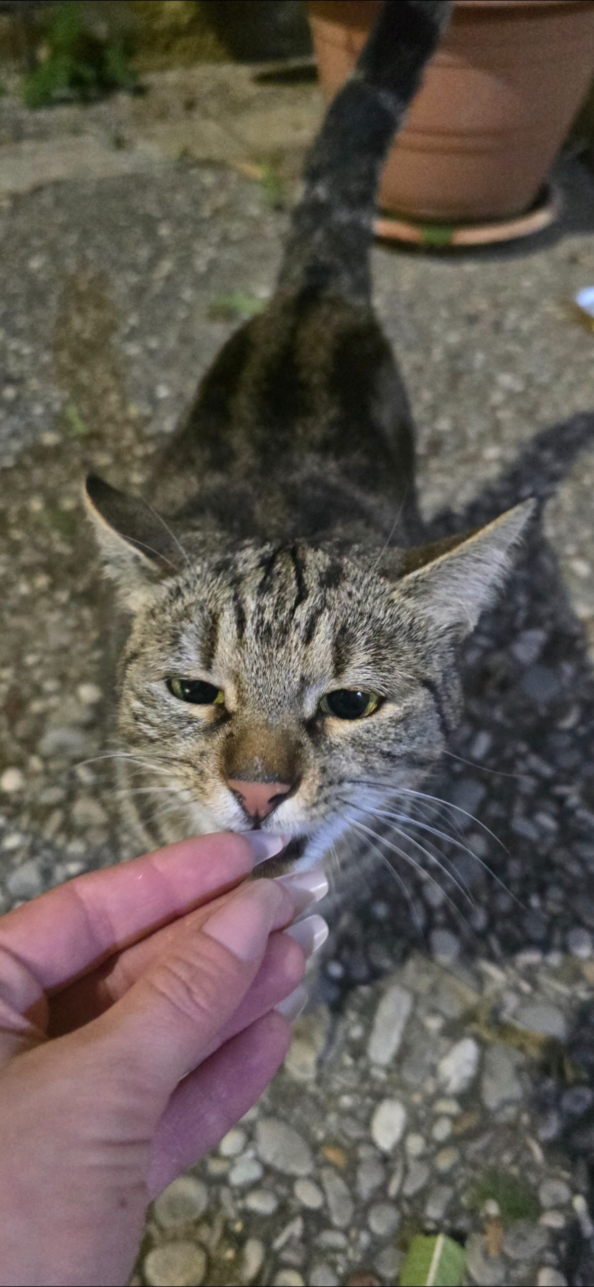 cf0c4c0f-ba13-43cb-af20-0670dafd6cf8