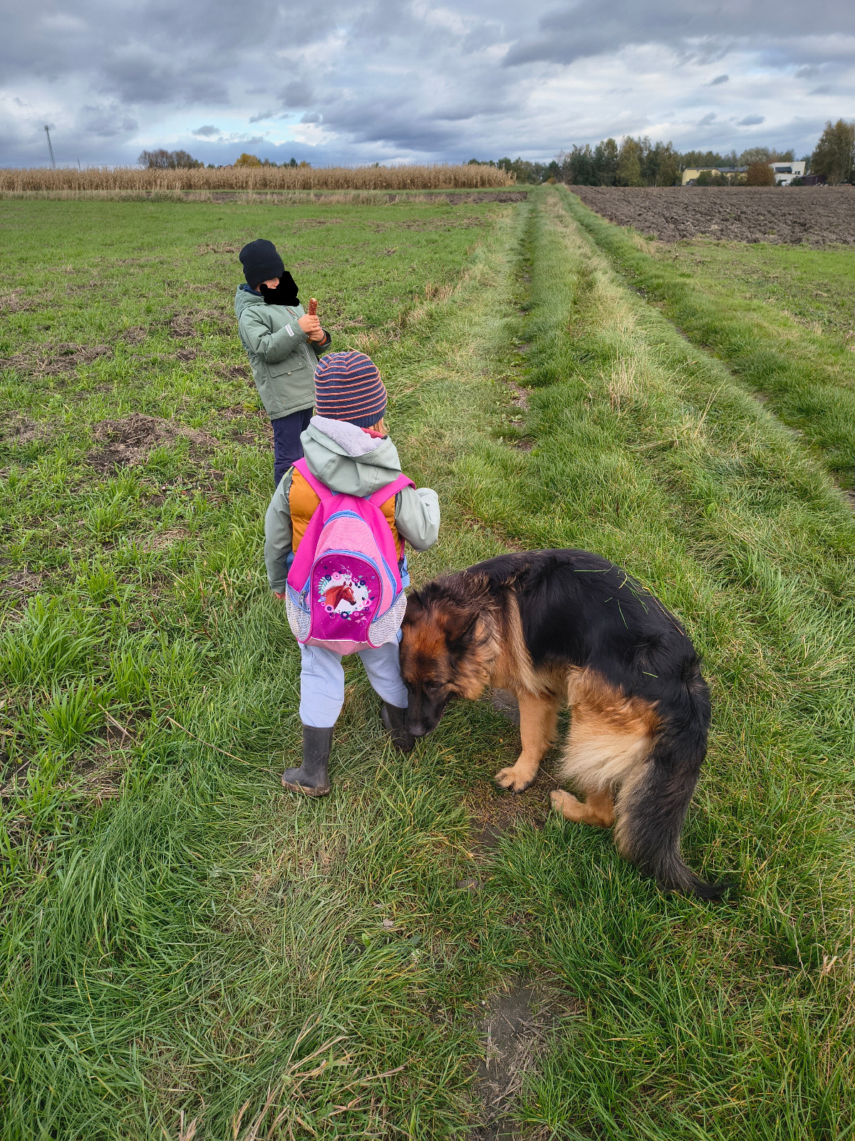 149d1f2d-f4c7-4d9e-87f2-08ad32fa7943