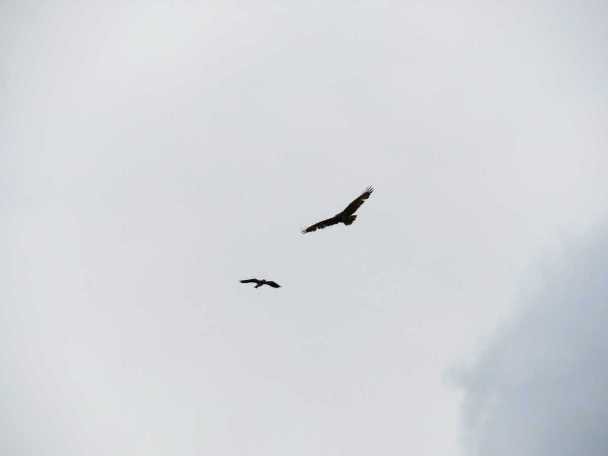 899b253d-f353-4075-a2e1-0b978ddff189