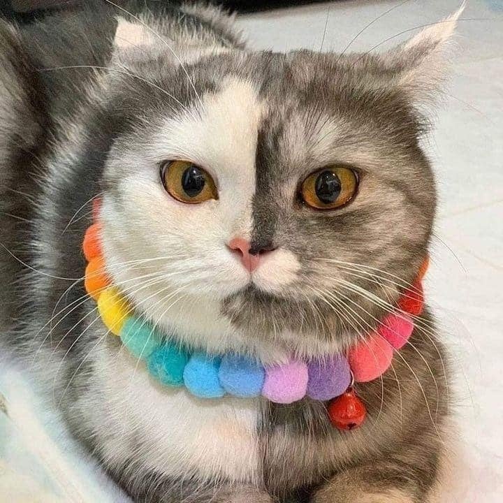 814cb47b-3979-41a0-8874-d44de04faab1