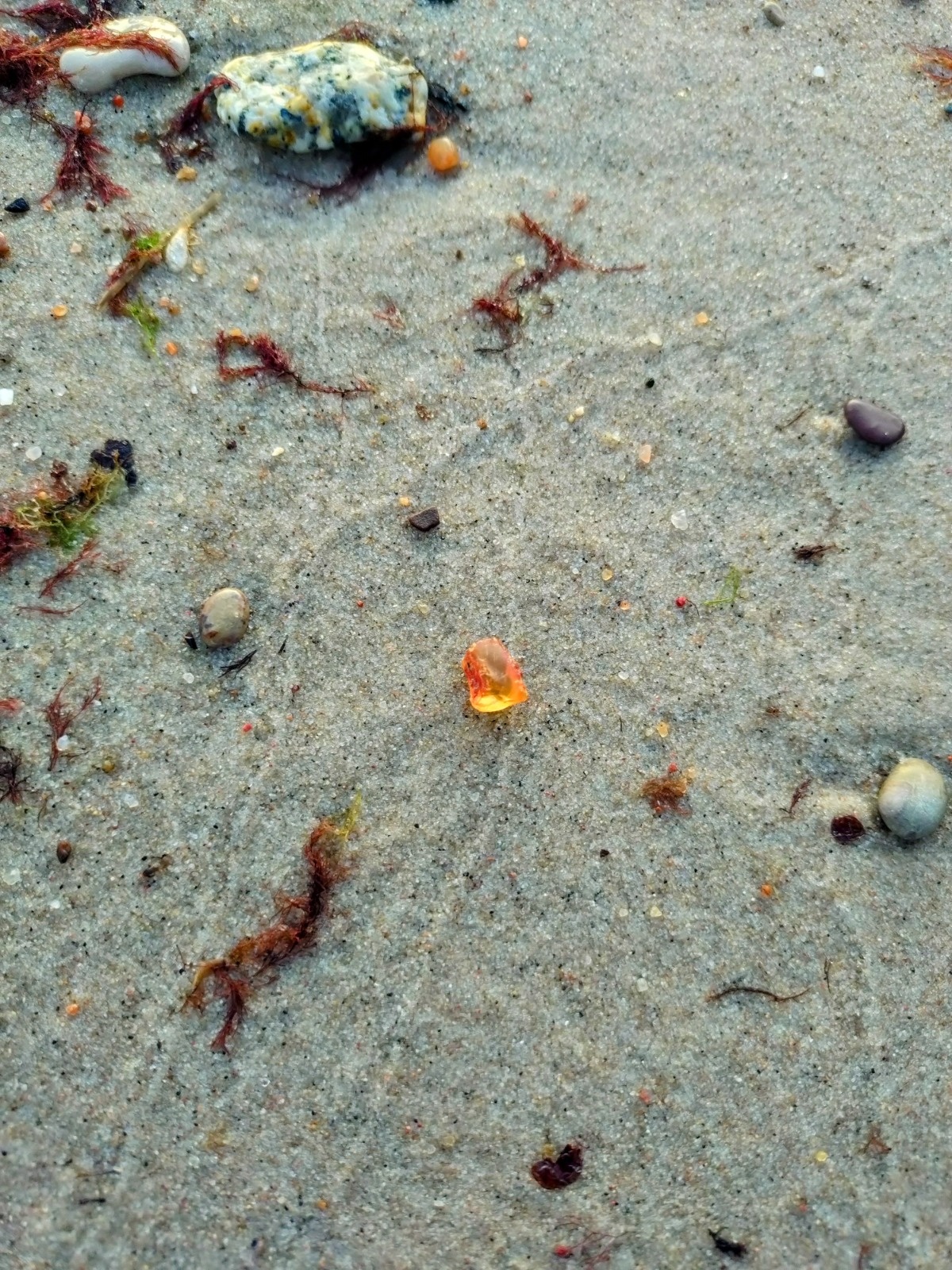 cdb3e757-d9cb-4eeb-8457-758d69c367c1