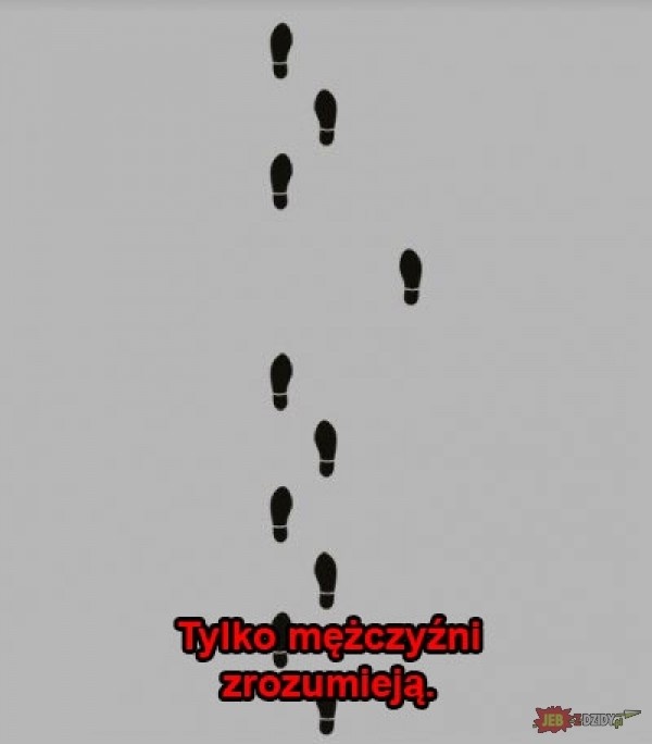 66ec7bd9-37d8-4404-8970-04dca027cb95