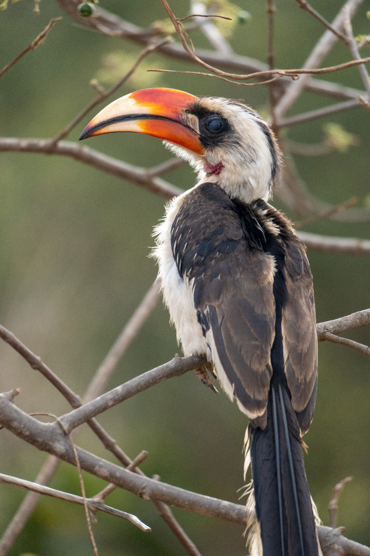 3f2635ad-e35d-4dd3-9d0d-170ea891b306