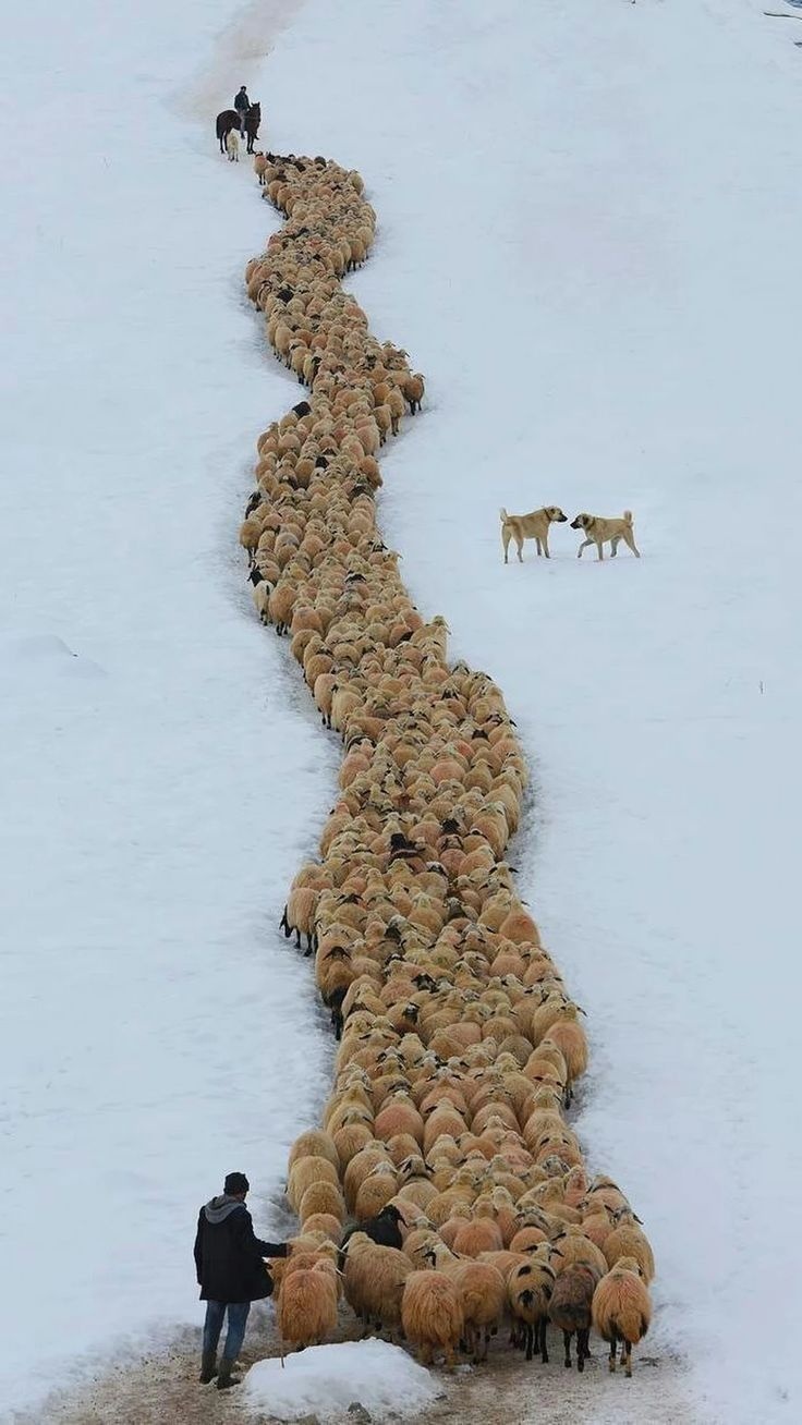 762a8080-c698-4af7-9f12-4cdd21b3ac51