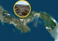 Nietypowy „wiatr magmy” znajduje się pod Panamą. Co to oznacza?