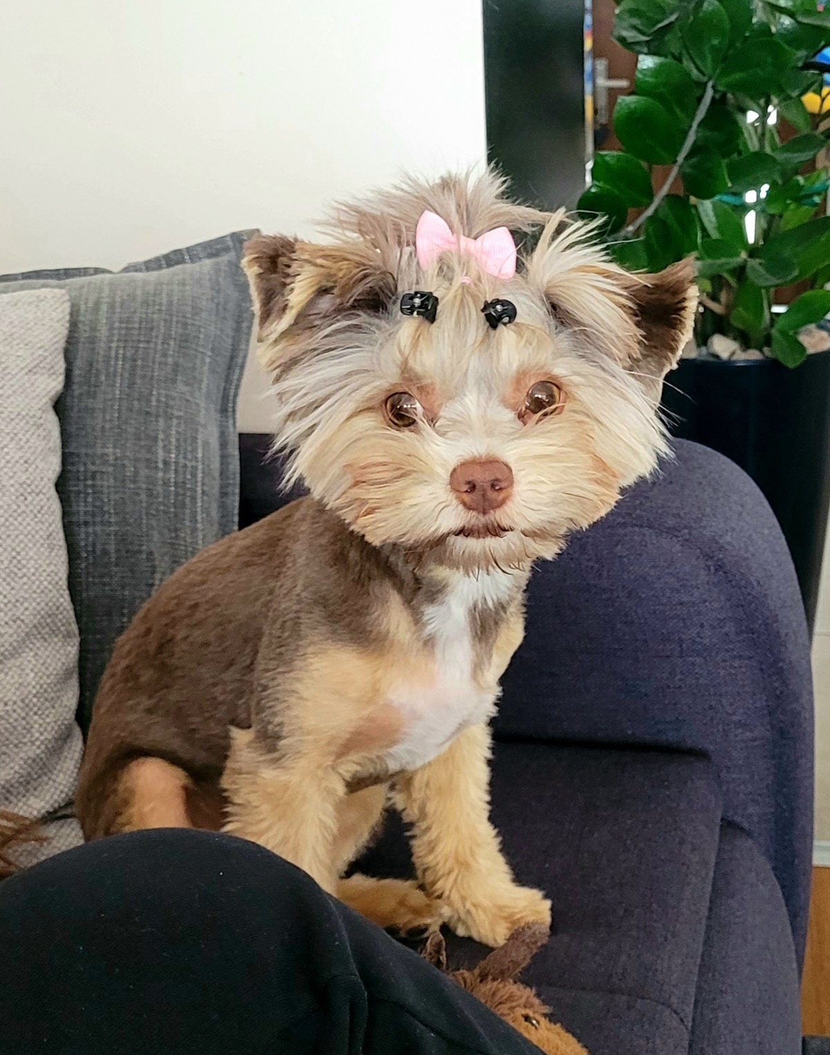 66bfd54c-1a2e-42c2-b02f-a126e9b9eb1b