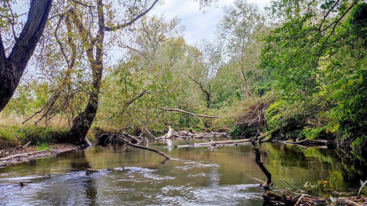 0a109c35-c762-49f1-a449-be1600422432