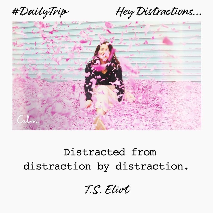 c8e4b636-01cf-40d2-84ed-13d469415714