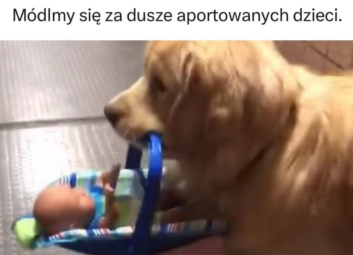 d91e2719-1eba-4fe4-bd27-2bfd6c2f7fcb