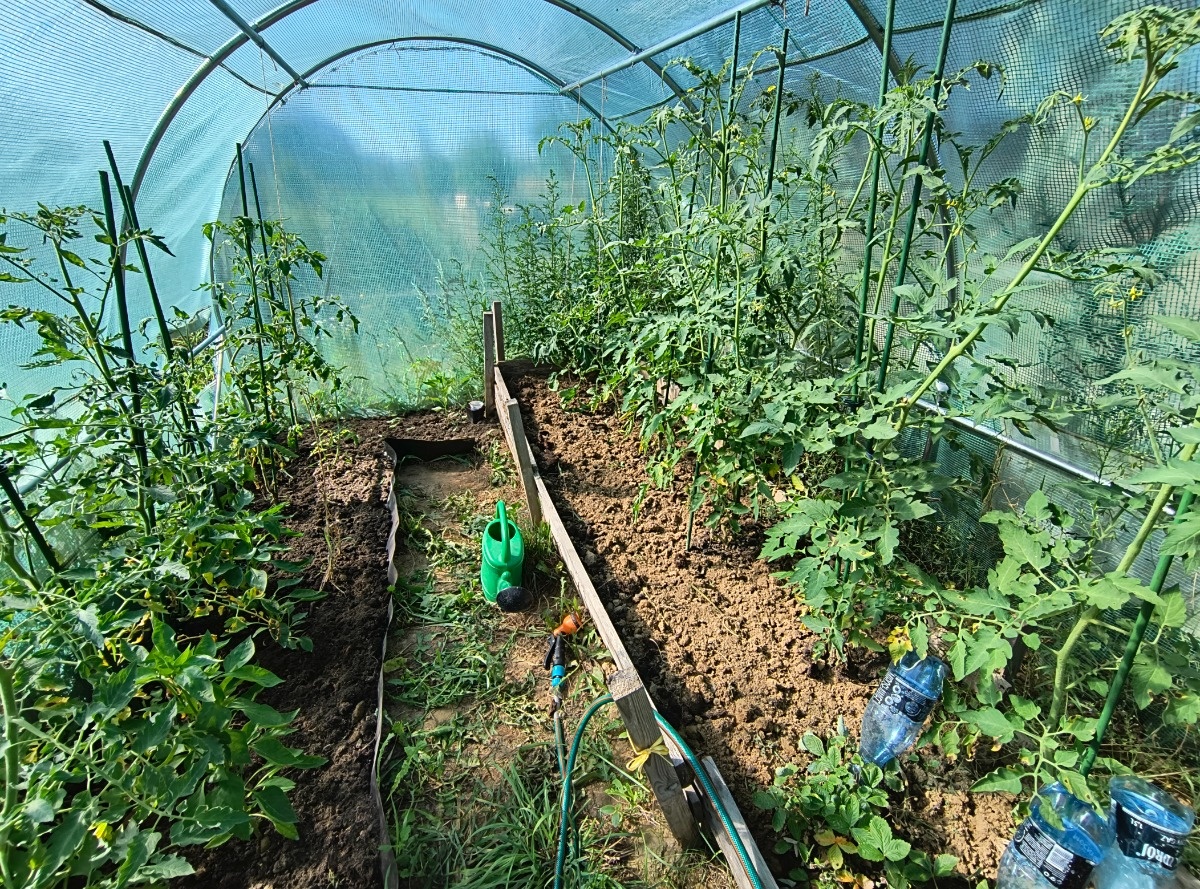 afa04898-f87c-4562-9432-9b616b7a812e