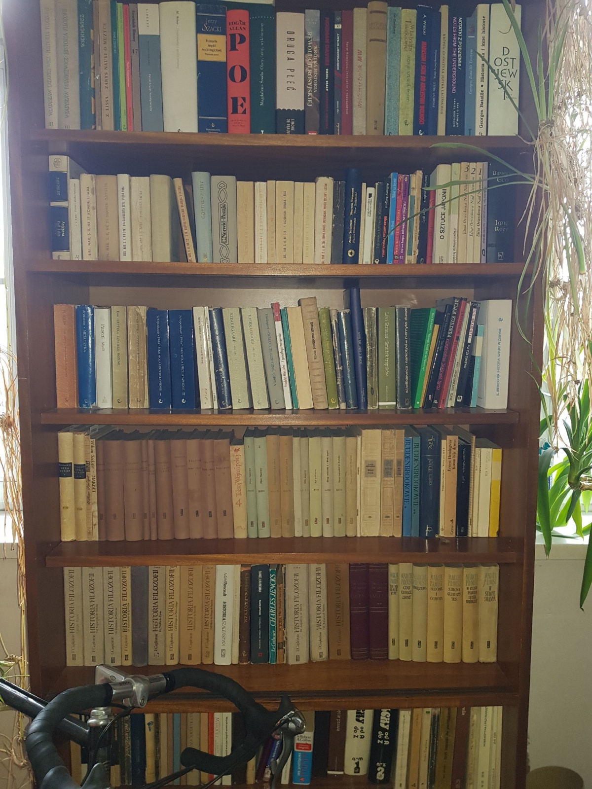 cda42be6-9e18-4a22-bdc5-a952a2cc5fdd