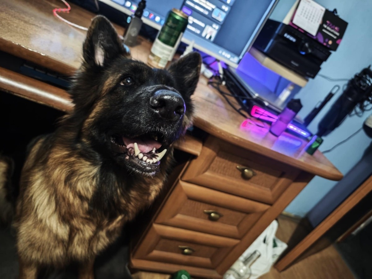 8bea62e5-8ea8-4871-a4f2-7a899d3eb106