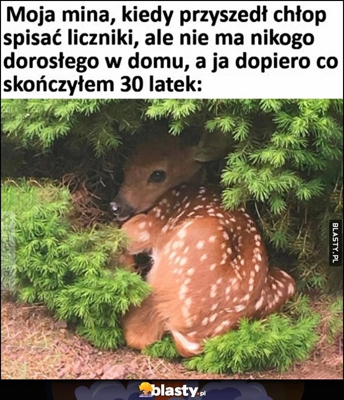 6abeac46-480c-46f1-84f7-2a1c5a645747