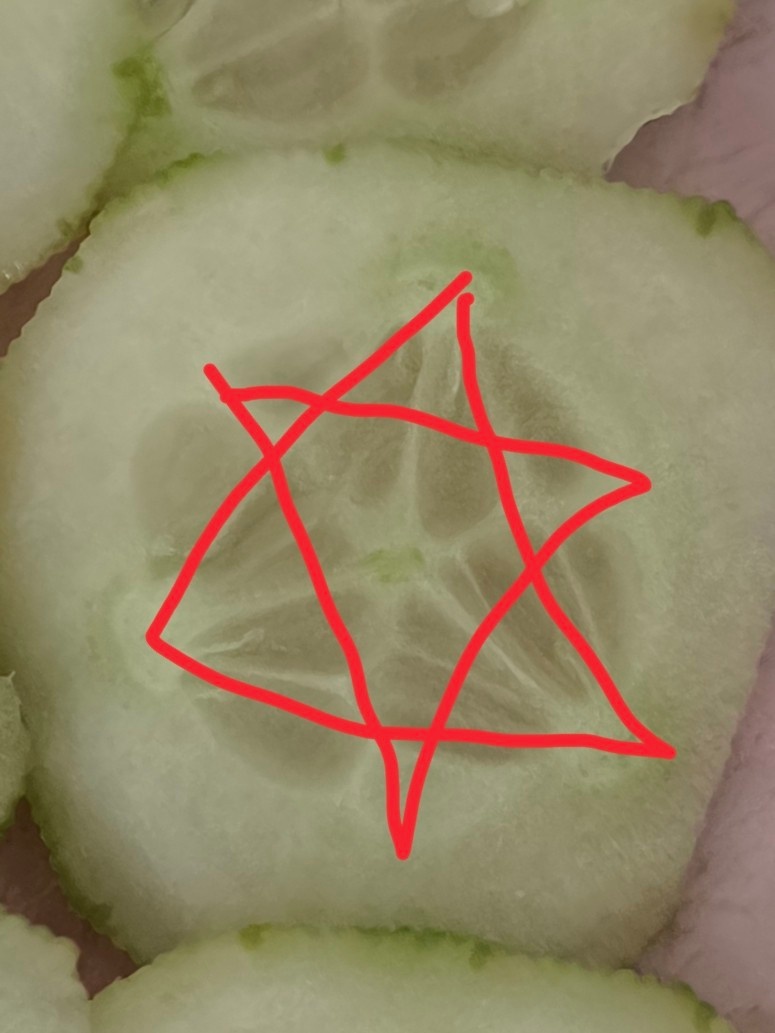 ac433b0e-e7f4-4e91-95db-ba3cb22bff16