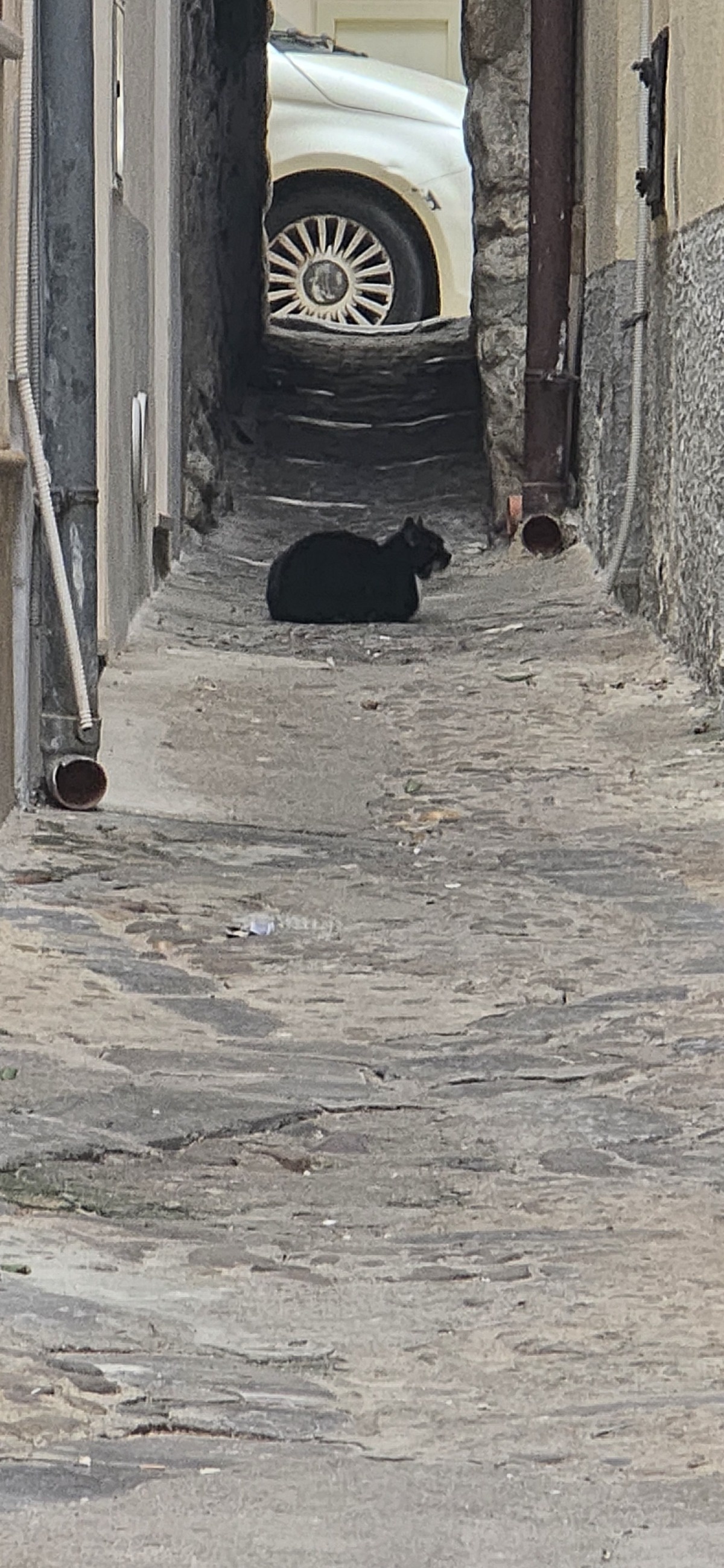 49e306ce-8660-4bc6-9d3b-21df3a1a67b5