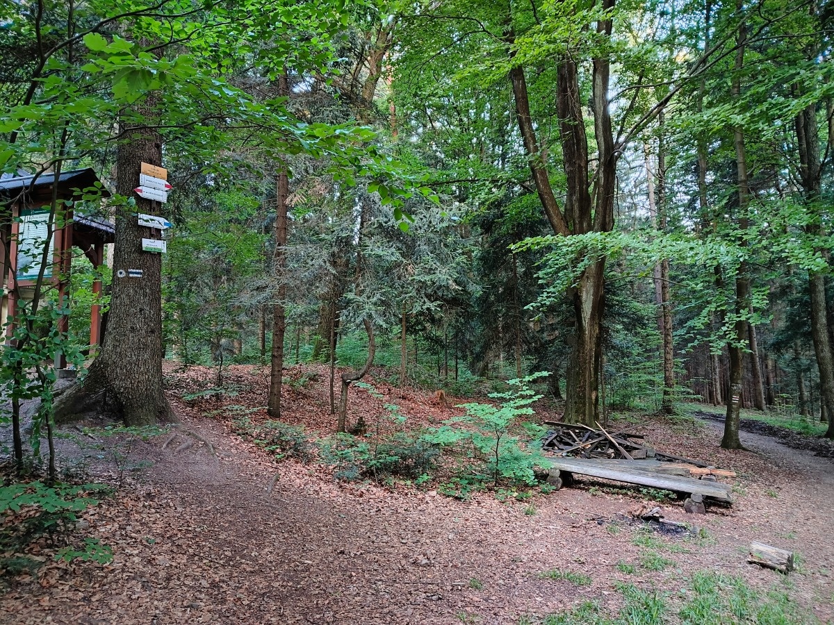 ae659994-2017-4ec1-a2fd-420ce370241f