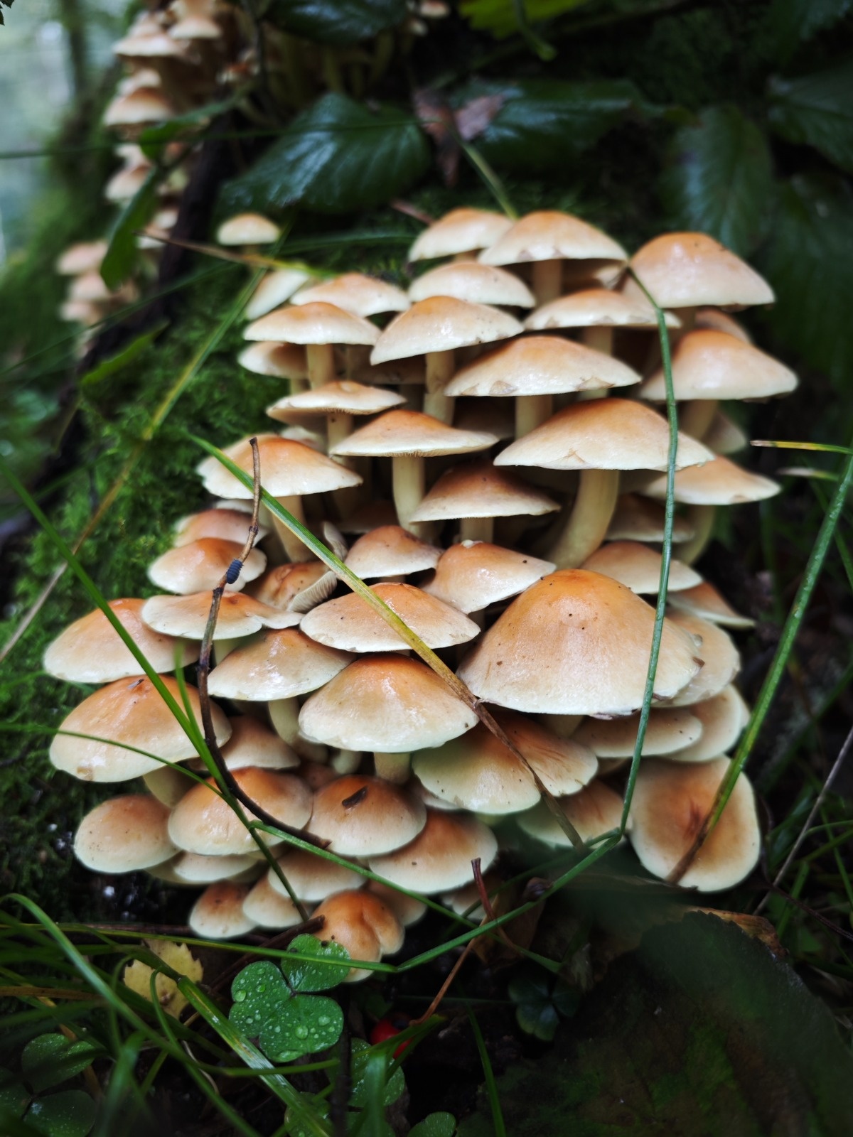 699562d6-3621-4e6f-b70e-3a21e796ff99