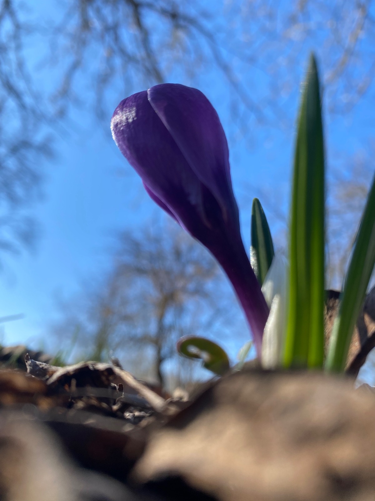 8b210a58-4bf1-40d2-9c06-8d75e68e4ea5