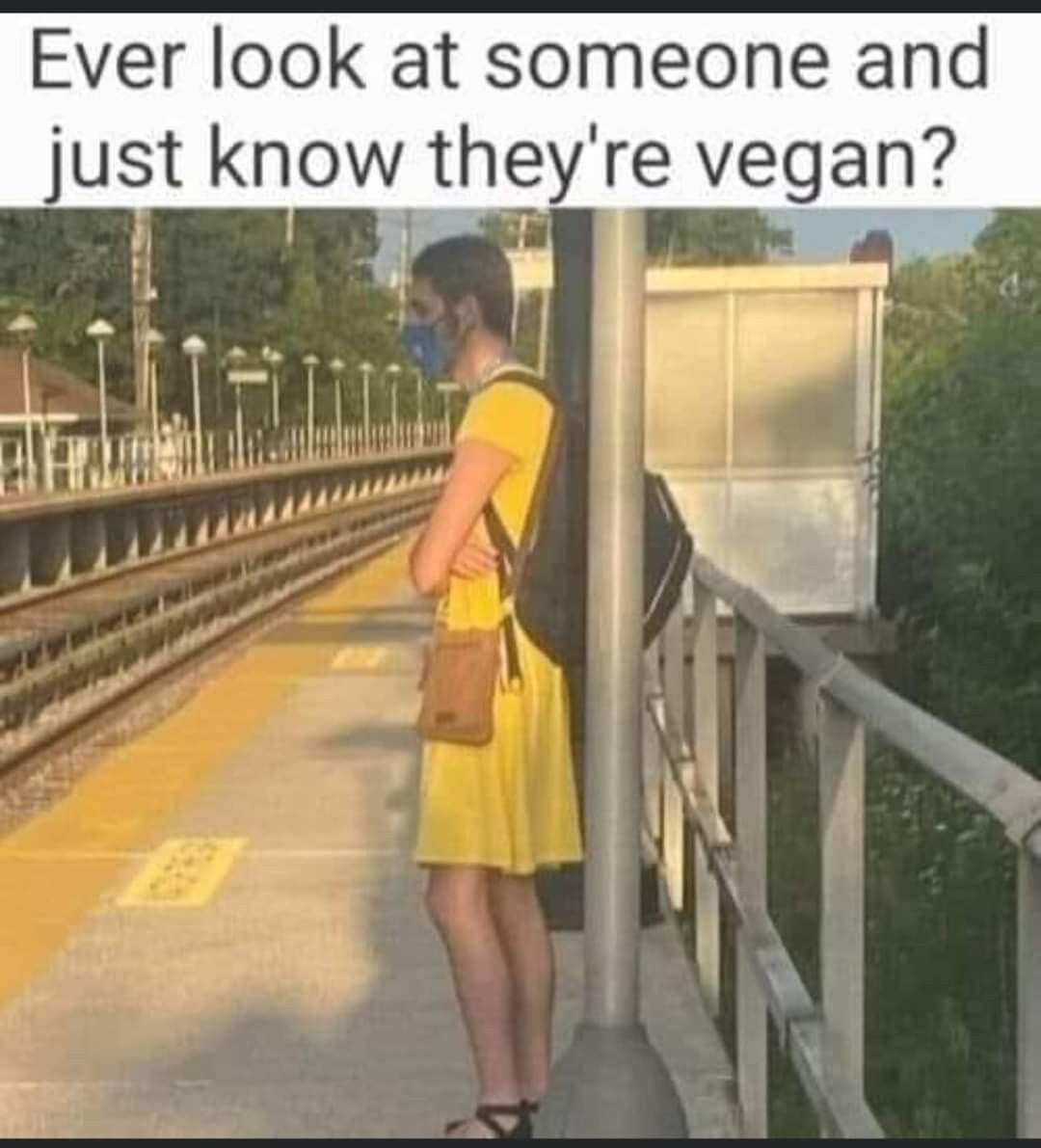 fa388060-f382-4dcf-9bcf-5a30775bcab7