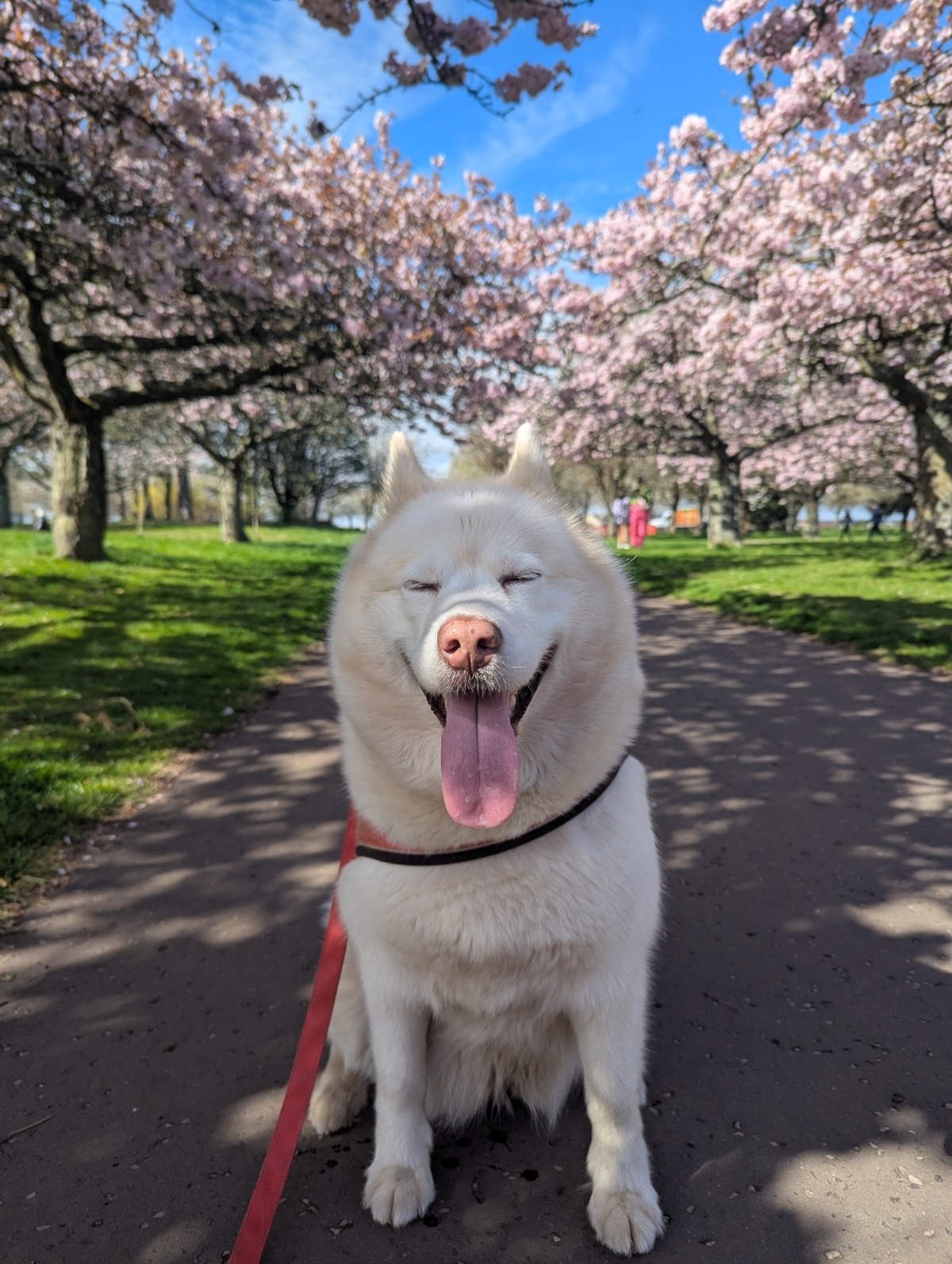 2545a14b-817c-459f-adf1-ccaed158f36e