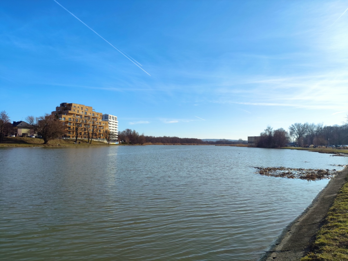 43908c04-82ee-4082-82fd-459254e67a72