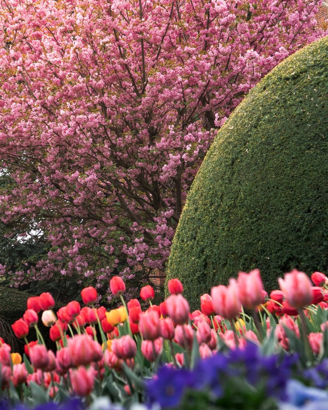 bf4b2046-6c62-403c-8066-45b406f7c13f