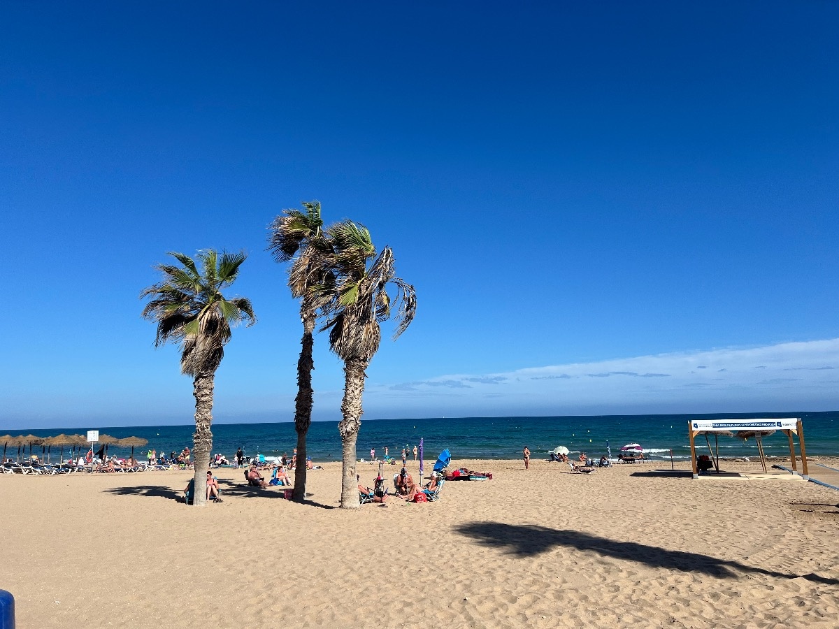 cfccf7a0-1951-4d33-93a6-984bffc526fe