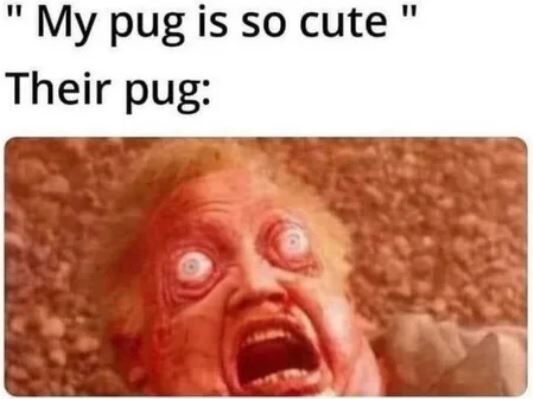 9b699ea9-c814-4929-81a3-8cc446d078b2