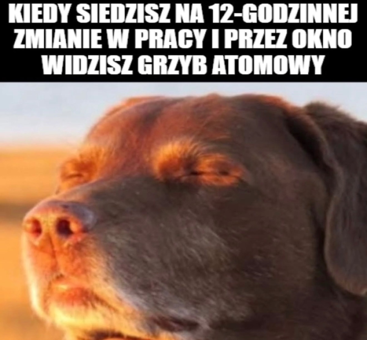 c00026d9-469e-472a-a6f8-145703e3c9af