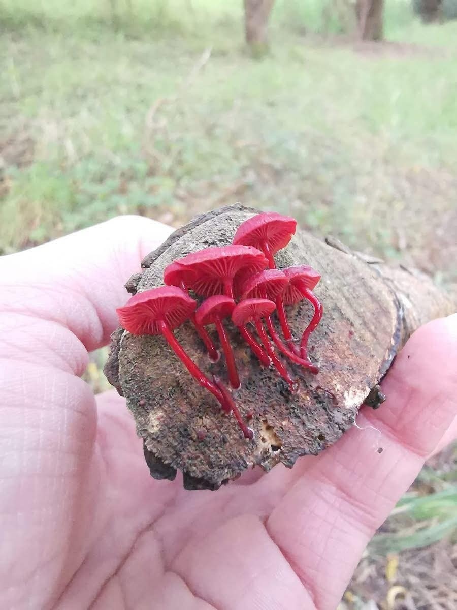 9696bb30-de1b-4173-a2ff-06b6c8c23db7