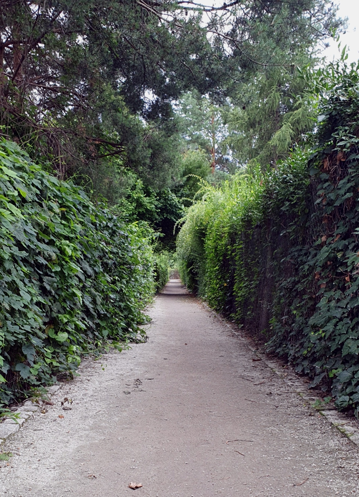 1fccc54f-fcf3-4b52-9448-43948382165e