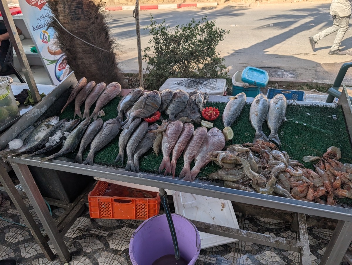 ff7b78b5-7fde-4785-adda-b78b72c31ed5