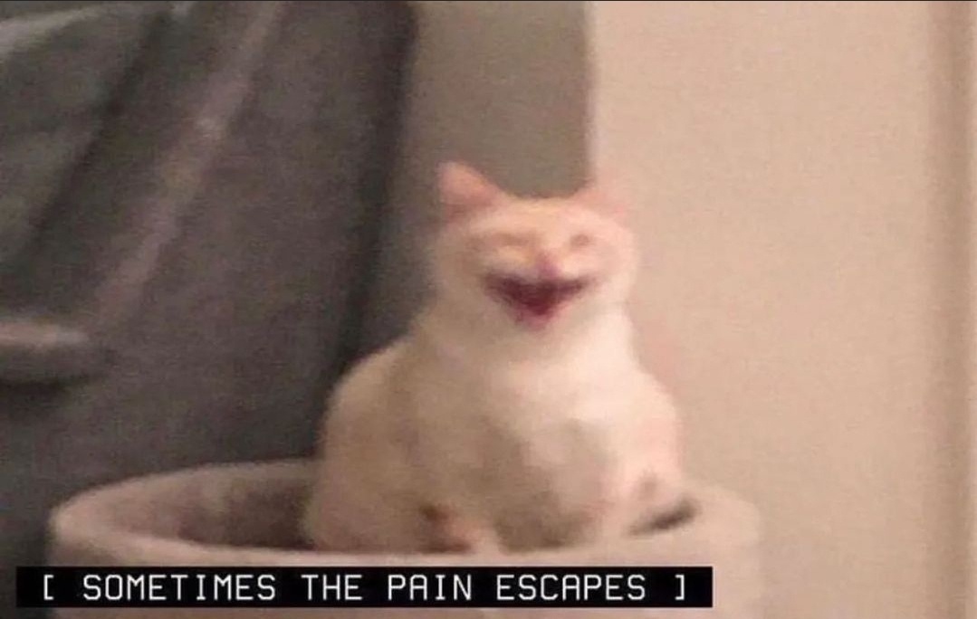 7420c1a4-c004-4f41-b30a-a06b2f4e6f48