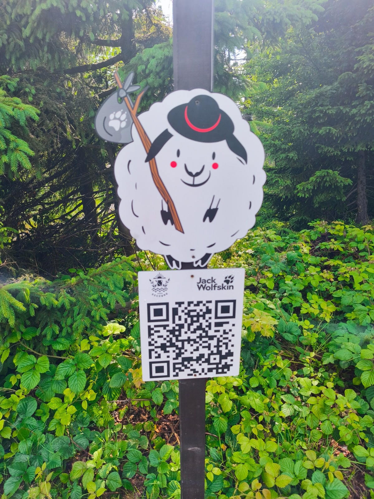 549f198e-8522-4a4d-8b31-cbaac7c3f6ac