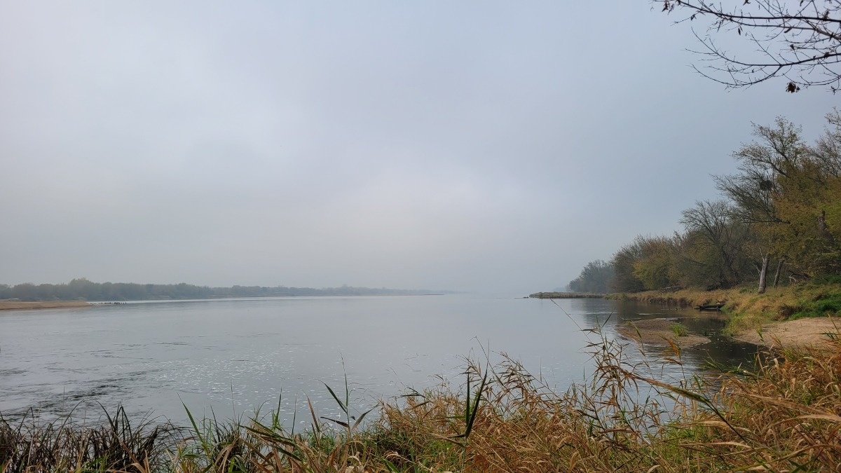 60c5d75c-a1a3-4b7a-a330-22be7154f2f3