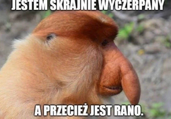 a09f2268-90ed-42fc-8236-3a5a9268b13c