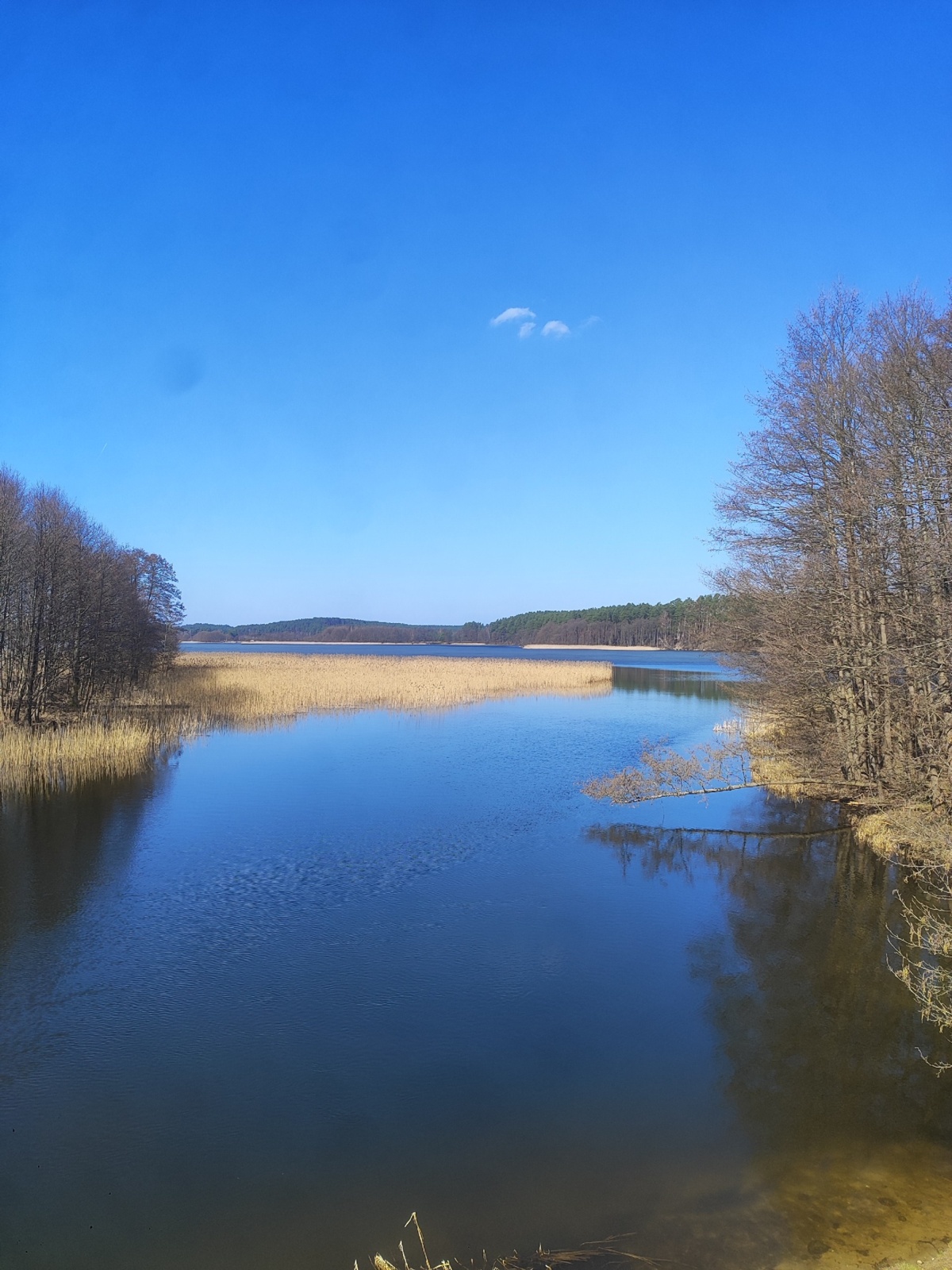 35fa4026-dcd7-4630-ad69-0253286fed33