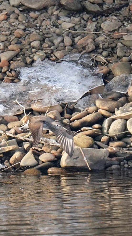 6064bae6-ca04-41c9-ad3e-9595f3ece775