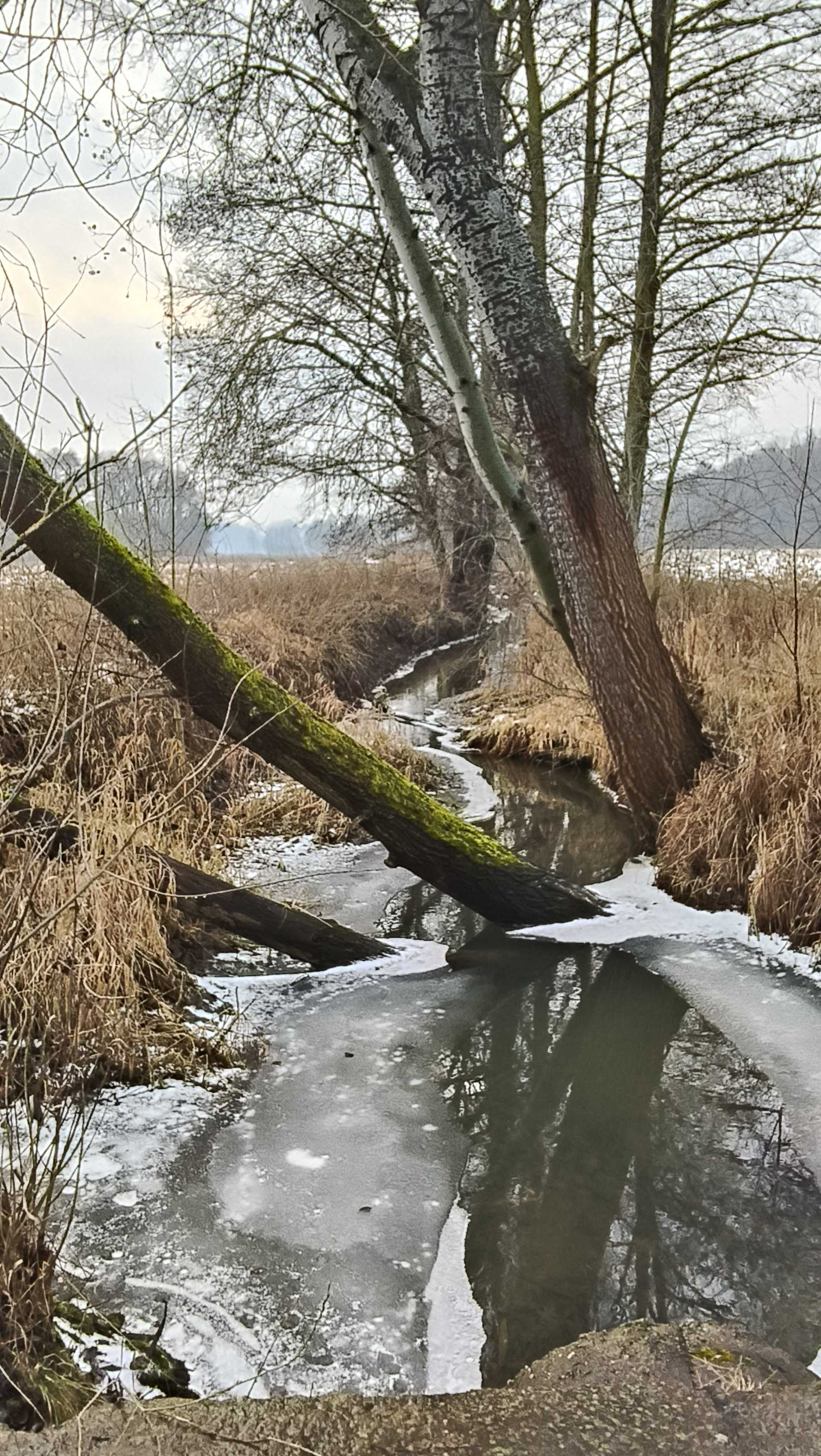 11a6fe11-e645-4e34-89c7-ae7258f56d51