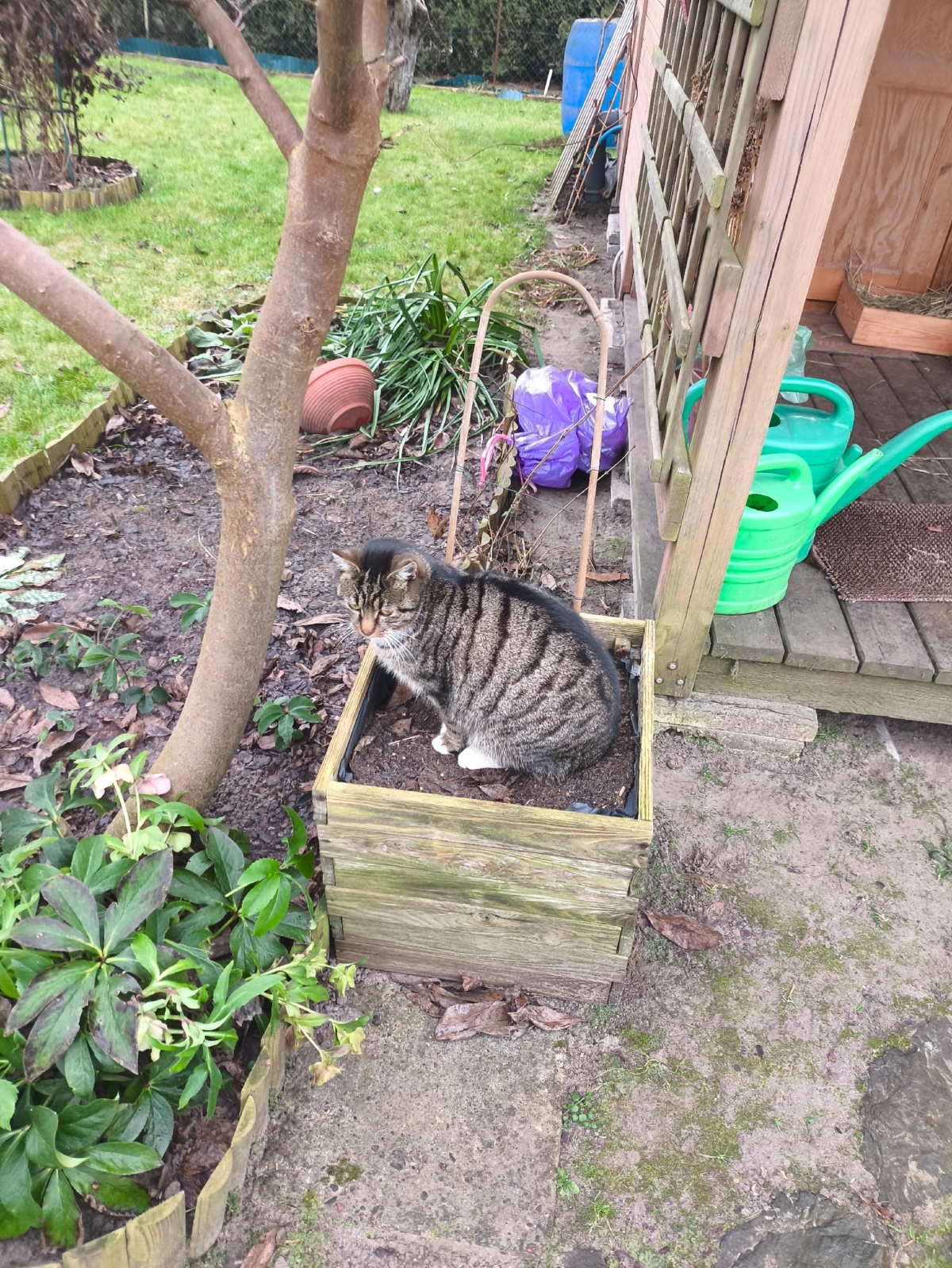 a2e792c7-9018-4d23-bc4d-f084c4e3bb51