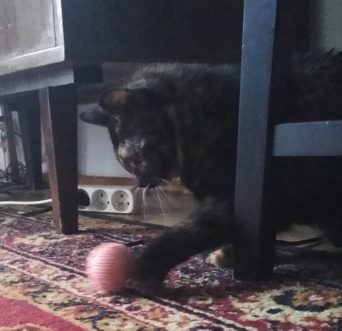 3a4a0803-7139-460f-ba02-f5d2a581ab19