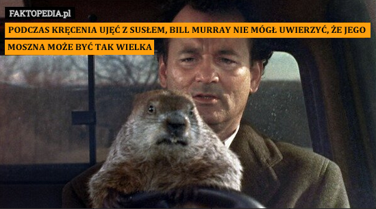 6aaec186-eaf6-4d6e-b59a-d077689cafcb