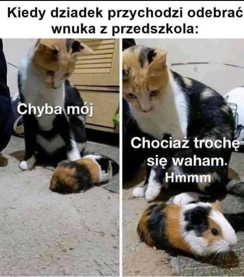 c8580380-c506-41cc-84e7-b40f9f4afa2d