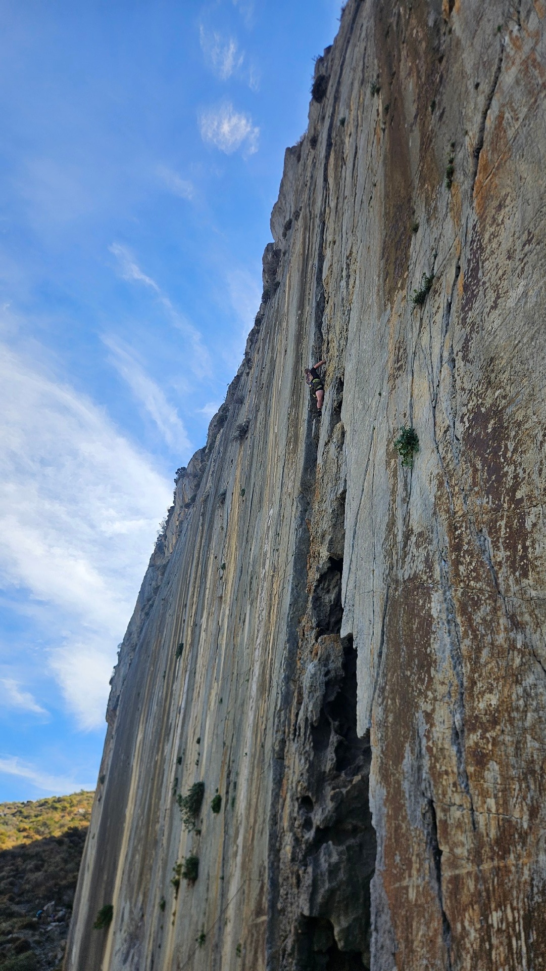 7c4ec3bd-fcff-413a-abde-88e3ab75bc5c