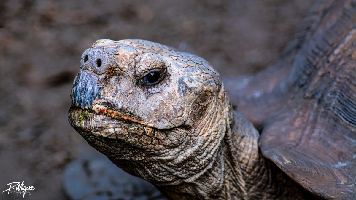 3e45e723-ebe1-4d85-a647-64816d37f3a6